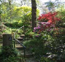 Spinners Upper Woodland